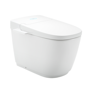 Bồn cầu thông minh INAX AC-816VN (SARAS Light E)