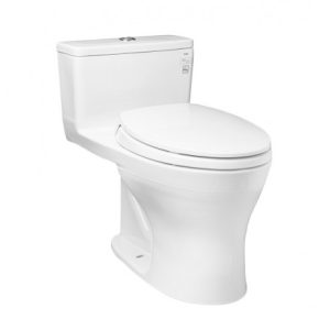 Bồn Cầu TOTO 1 khối MS855DT2
