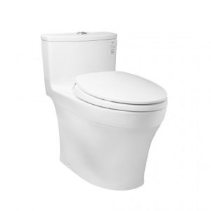 Bồn Cầu TOTO 1 khối MS885DT2